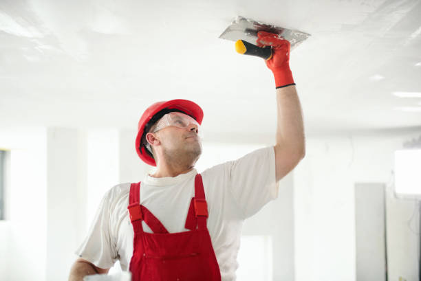 Best Ceiling Drywall Installation  in Highland, CA